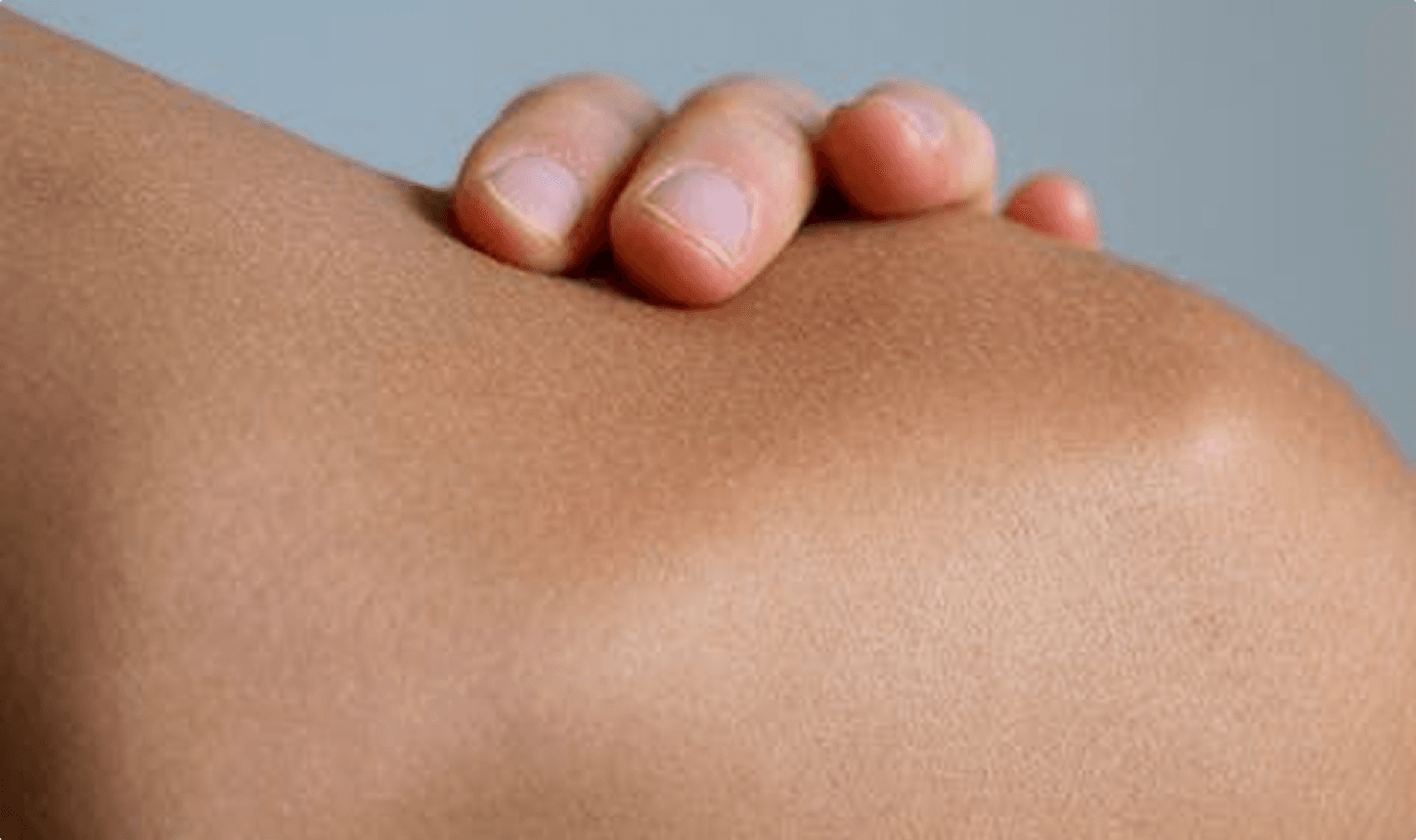 Planta natural cosmetics